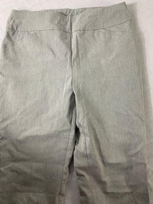 Banana Republic Slimming Perfect Stretch by Chico's Size 1 (Medium) —  Family Tree Resale 1